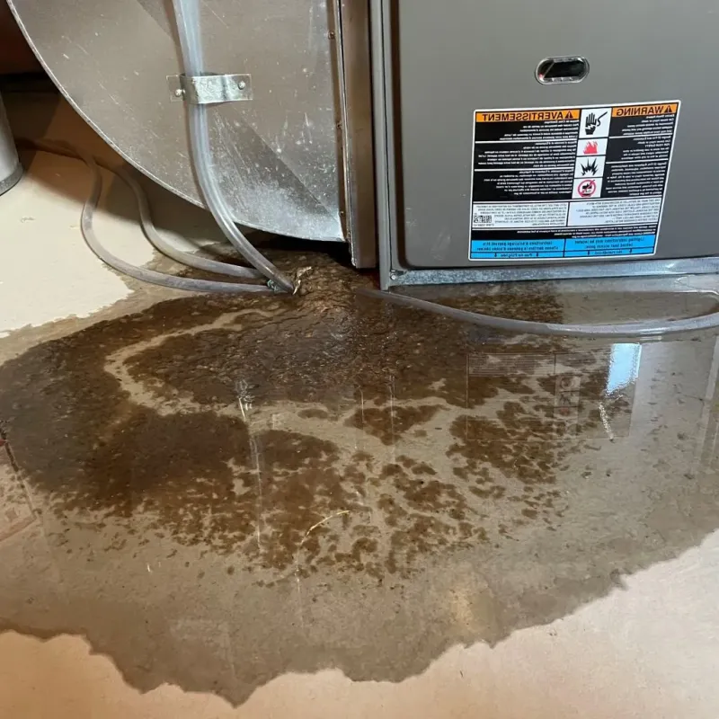 Pipe Burst and Leak Restoration in Pike Creek Valley, DE